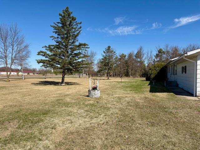 18680 Elk Loop Long Prairie, MN 56347 - Photo 29 of 30