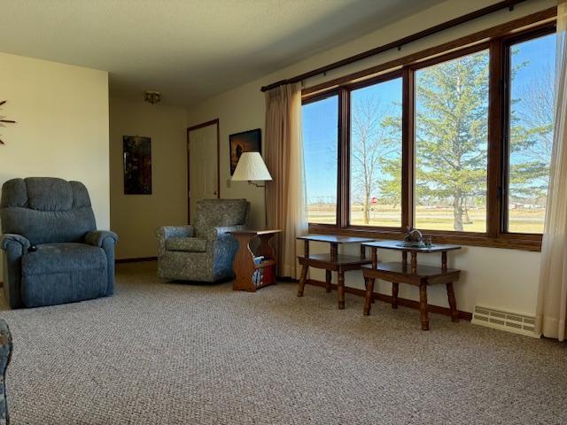 18680 Elk Loop Long Prairie, MN 56347 - Photo 5 of 30