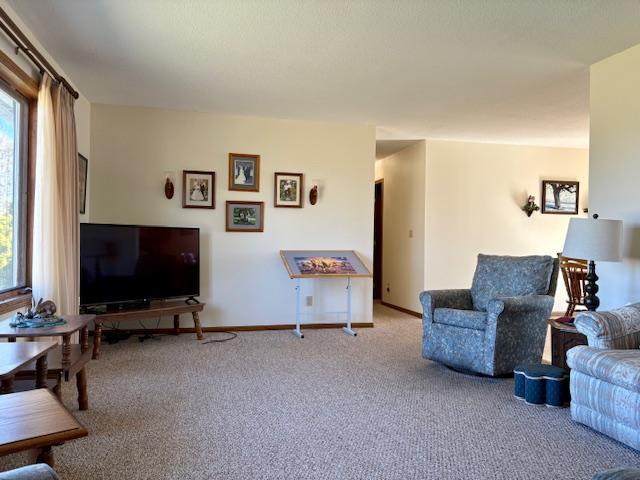 18680 Elk Loop Long Prairie, MN 56347 - Photo 6 of 30