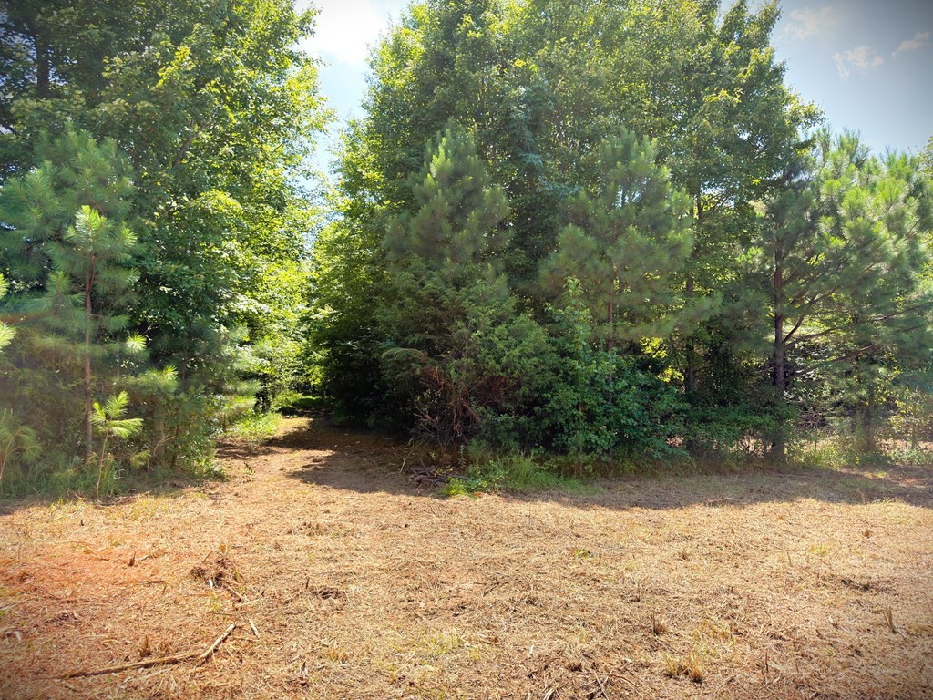 0 Marcrom Road Morrison, TN 37357 - Photo 19 of 26