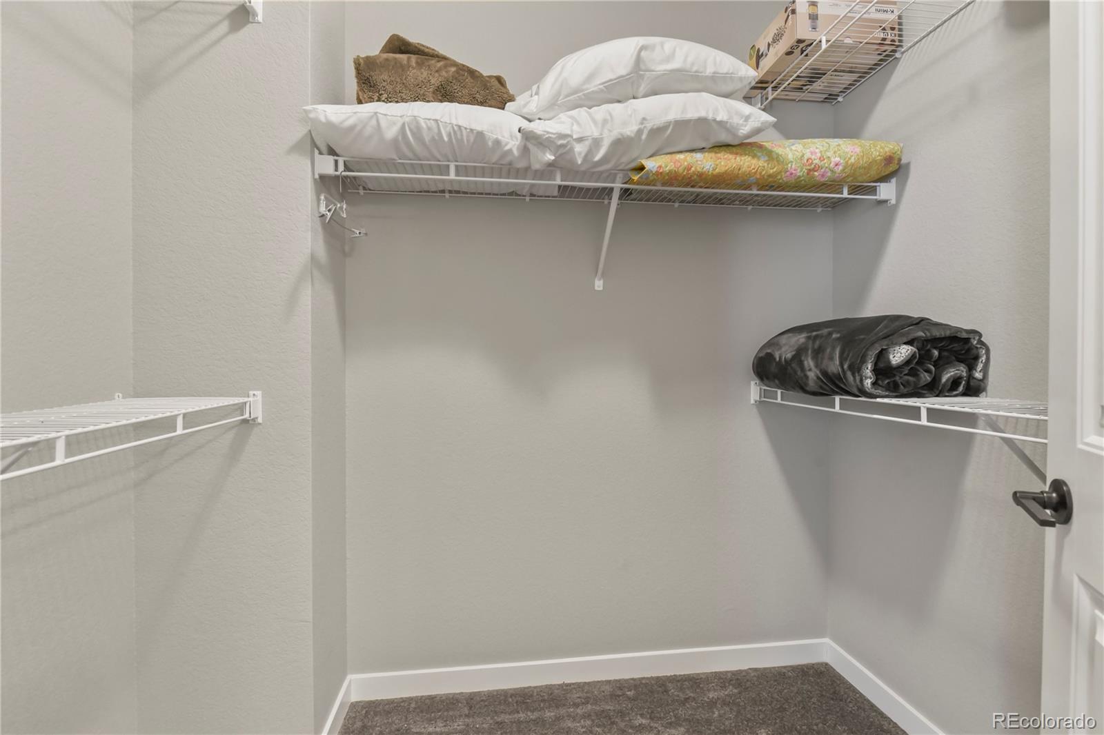 1344 Sunshine Valley Way Colorado Springs, CO 80921 - Photo 24 of 37 a close view of shoes