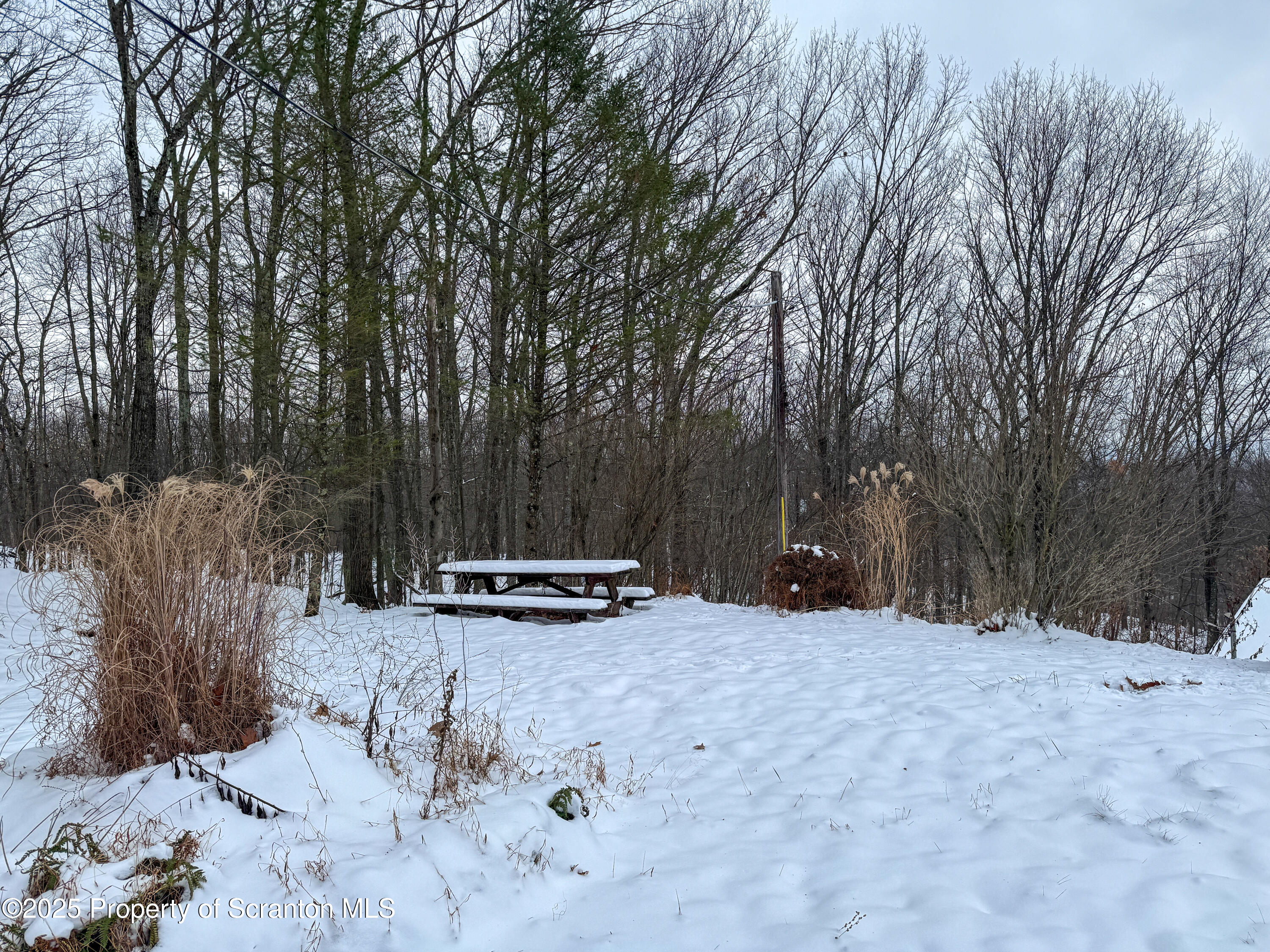 2607 Ransom Road Clarks Summit, PA 18411 - Photo 39 of 46 a view of outdoor space and yard