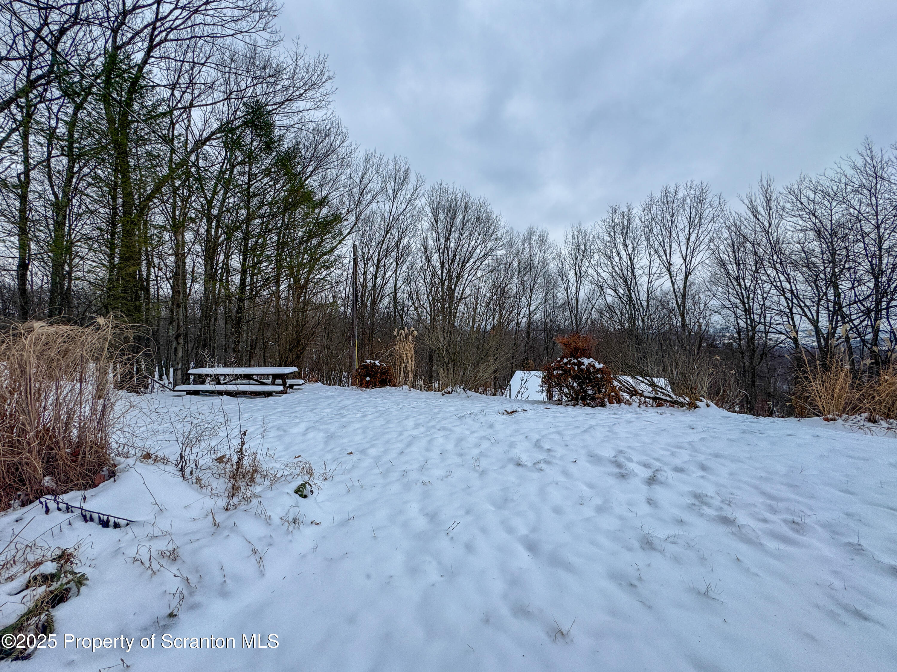 2607 Ransom Road Clarks Summit, PA 18411 - Photo 40 of 46 a view of a backyard of the house