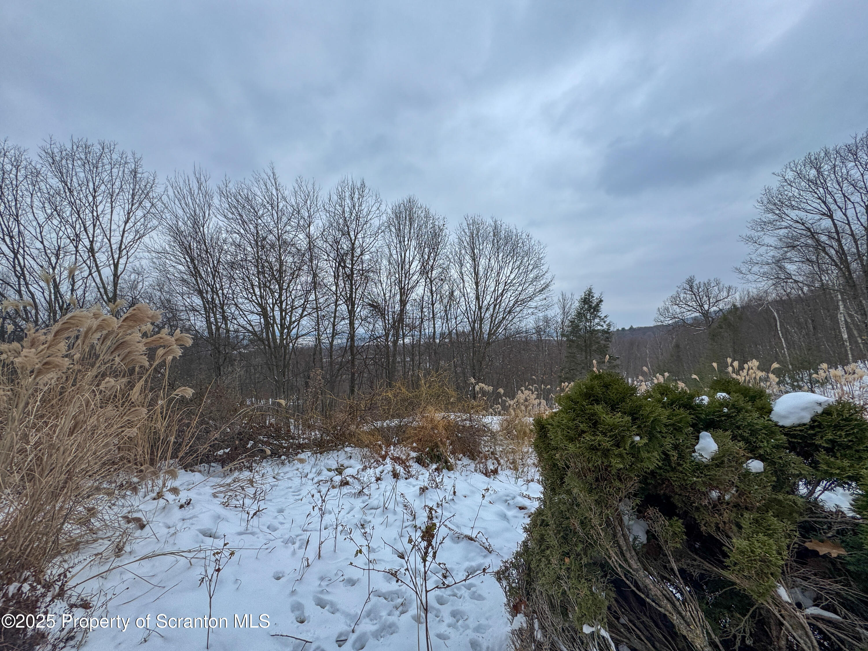 2607 Ransom Road Clarks Summit, PA 18411 - Photo 41 of 46 a view of a lake with a yard
