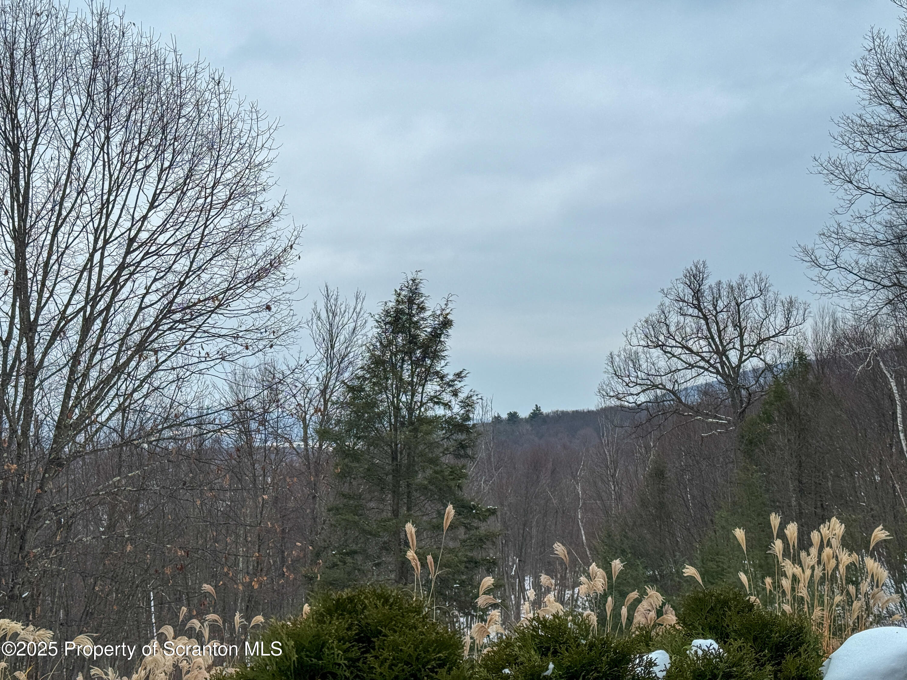 2607 Ransom Road Clarks Summit, PA 18411 - Photo 43 of 46 a view of a garden