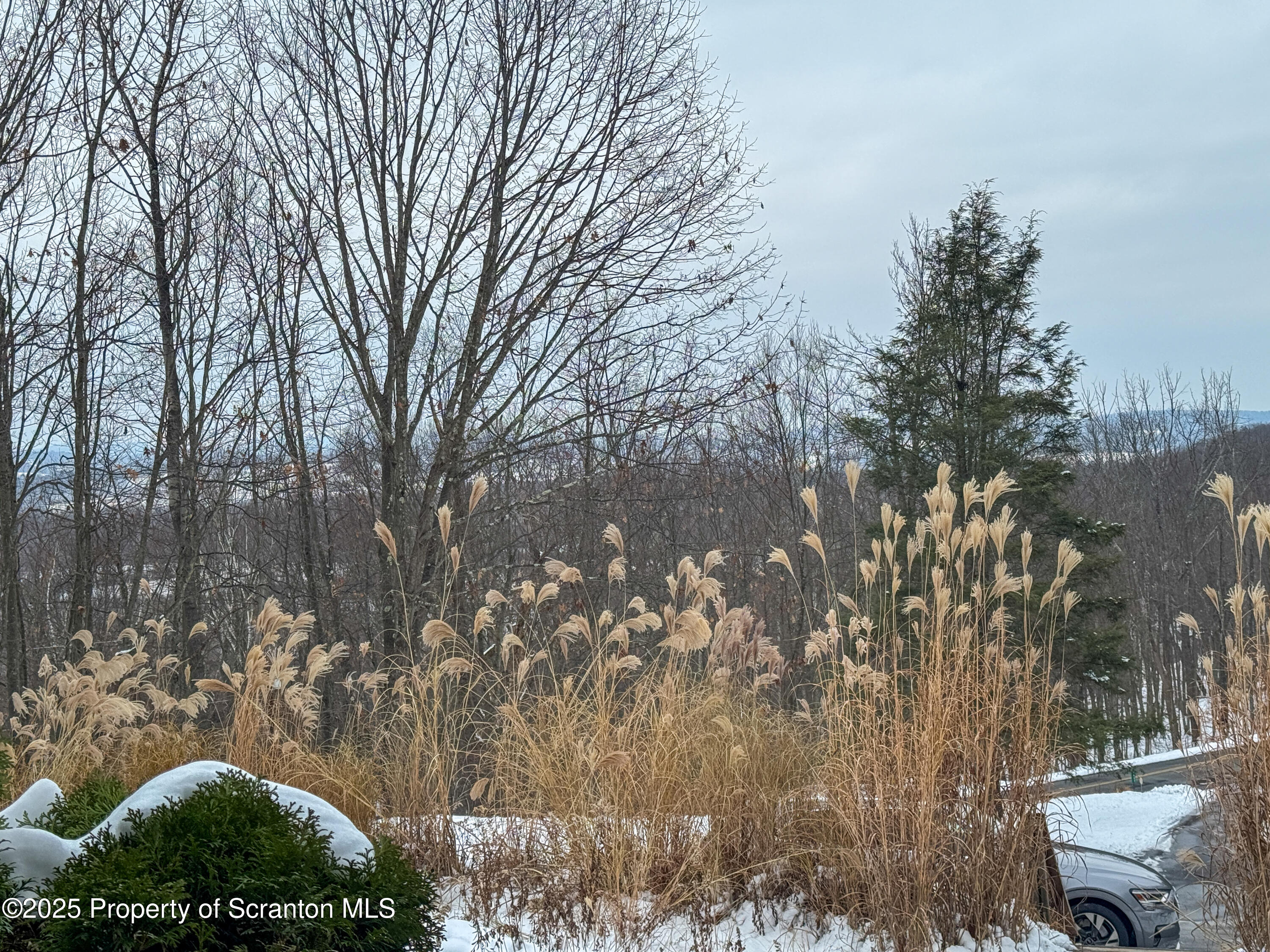 2607 Ransom Road Clarks Summit, PA 18411 - Photo 44 of 46 a view of a yard