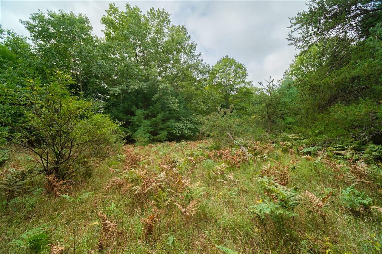 0 Erdman Road Onekama, MI 49675 - Photo 27 of 69 Gallery Image 27
