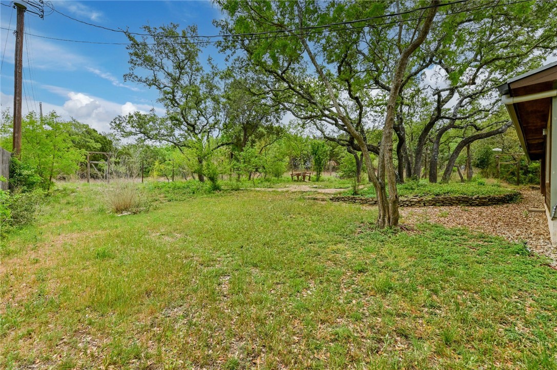 901 Valley View Drive Austin, TX 78733 - Photo 22 of 25 a view of yard with tree