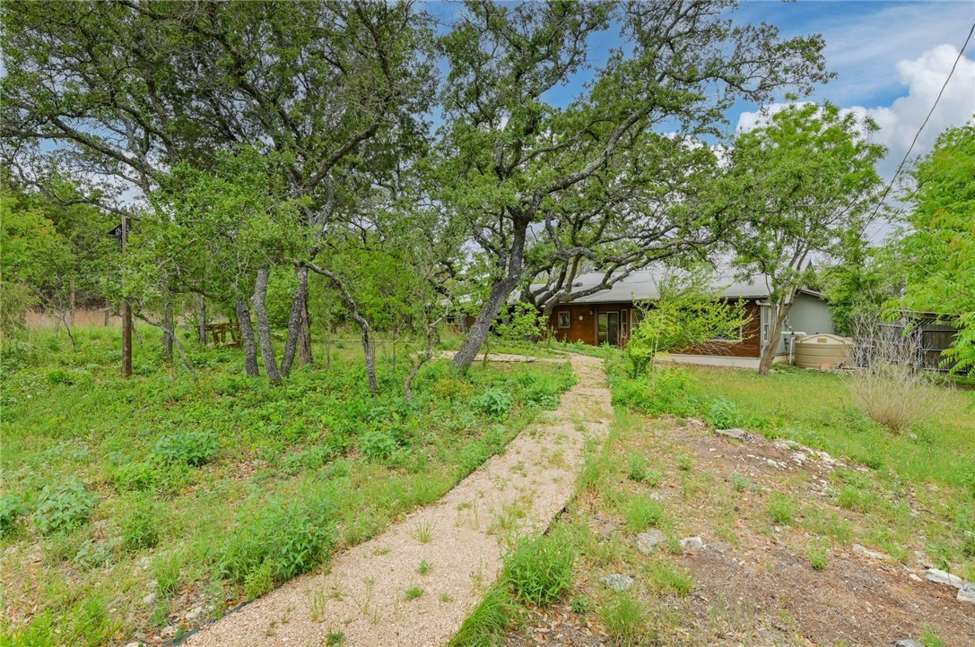 901 Valley View Drive Austin, TX 78733 - Photo 23 of 25 a view of a yard with plants and a large tree