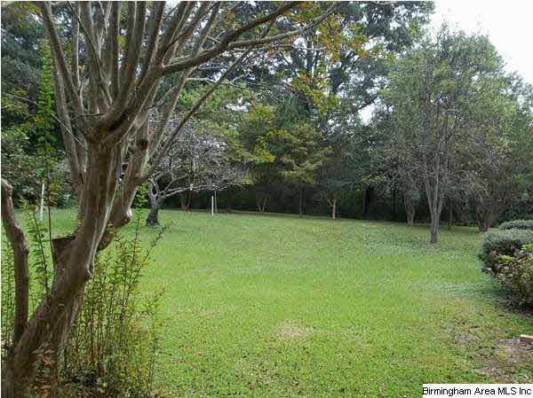 187 Cragford Road Ashland, AL 36251 - Photo 2 of 11