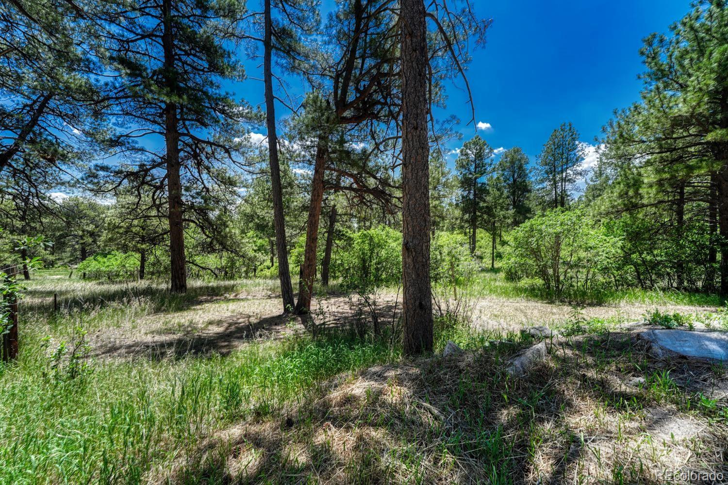 9306 South Curtis Road Larkspur, CO 80118 - Photo 46 of 50