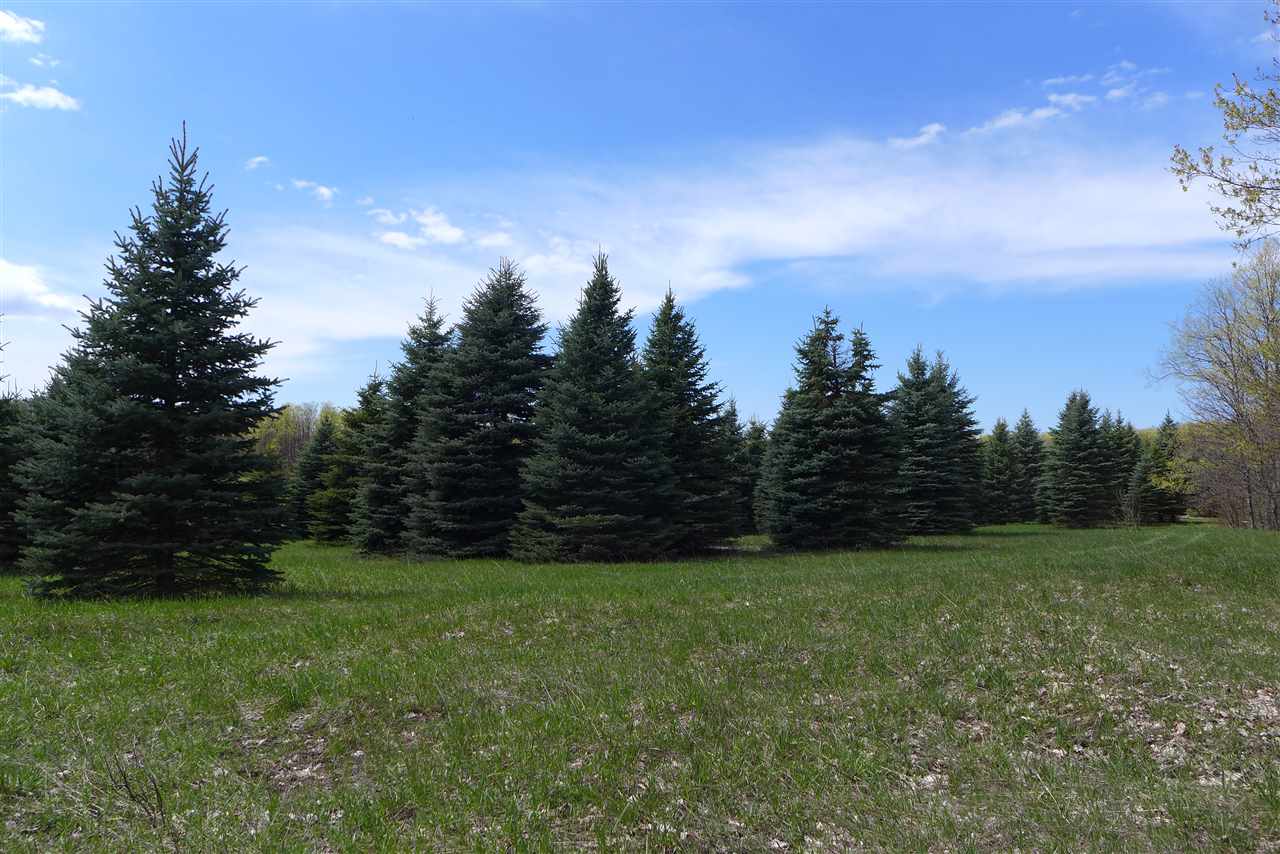 6777 Peters Road Boyne Falls, MI 49713 - Photo 22 of 57 1831661-21.JPG