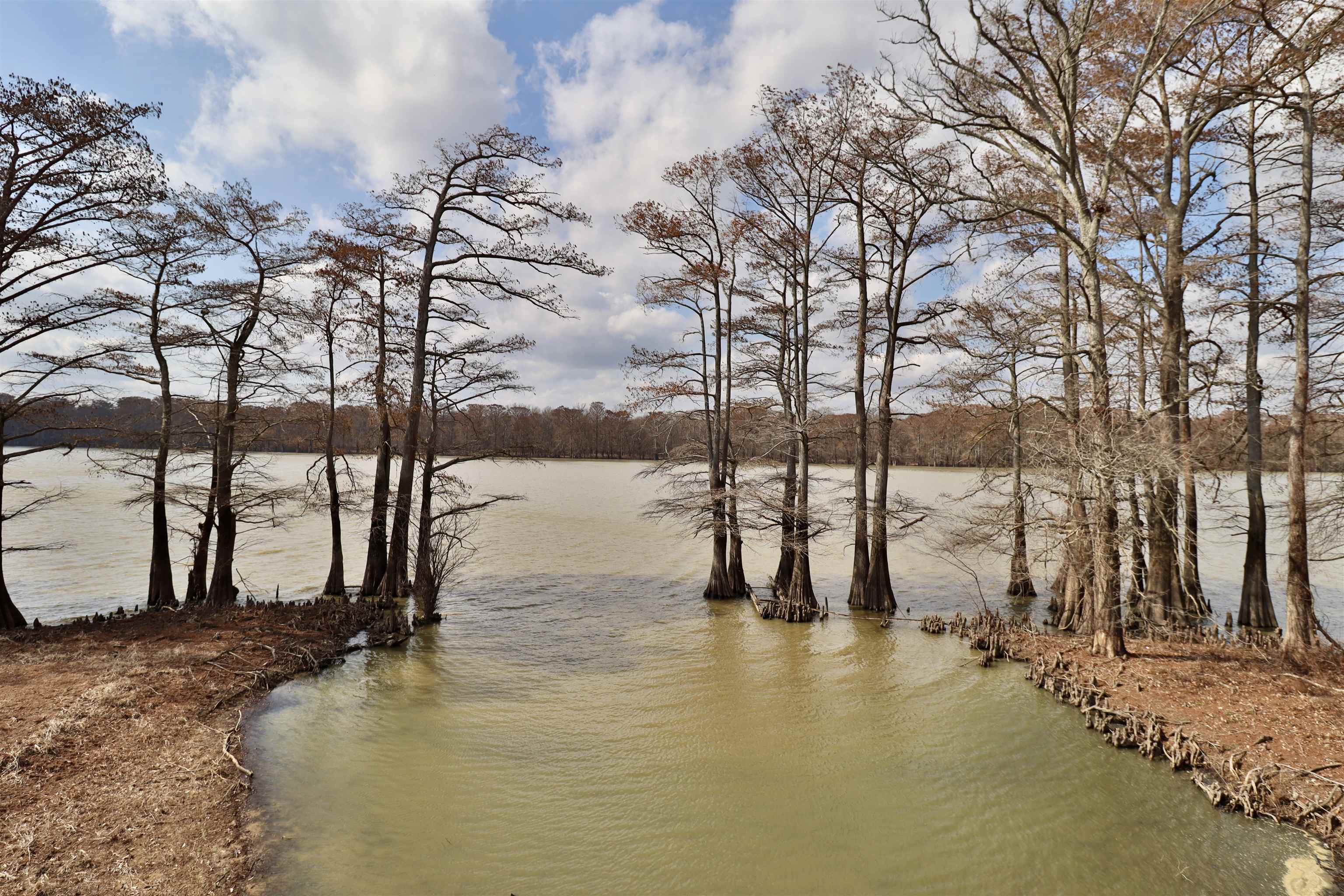 103 Chisholm Lake Road Ripley, TN 38063 - Photo 29 of 40