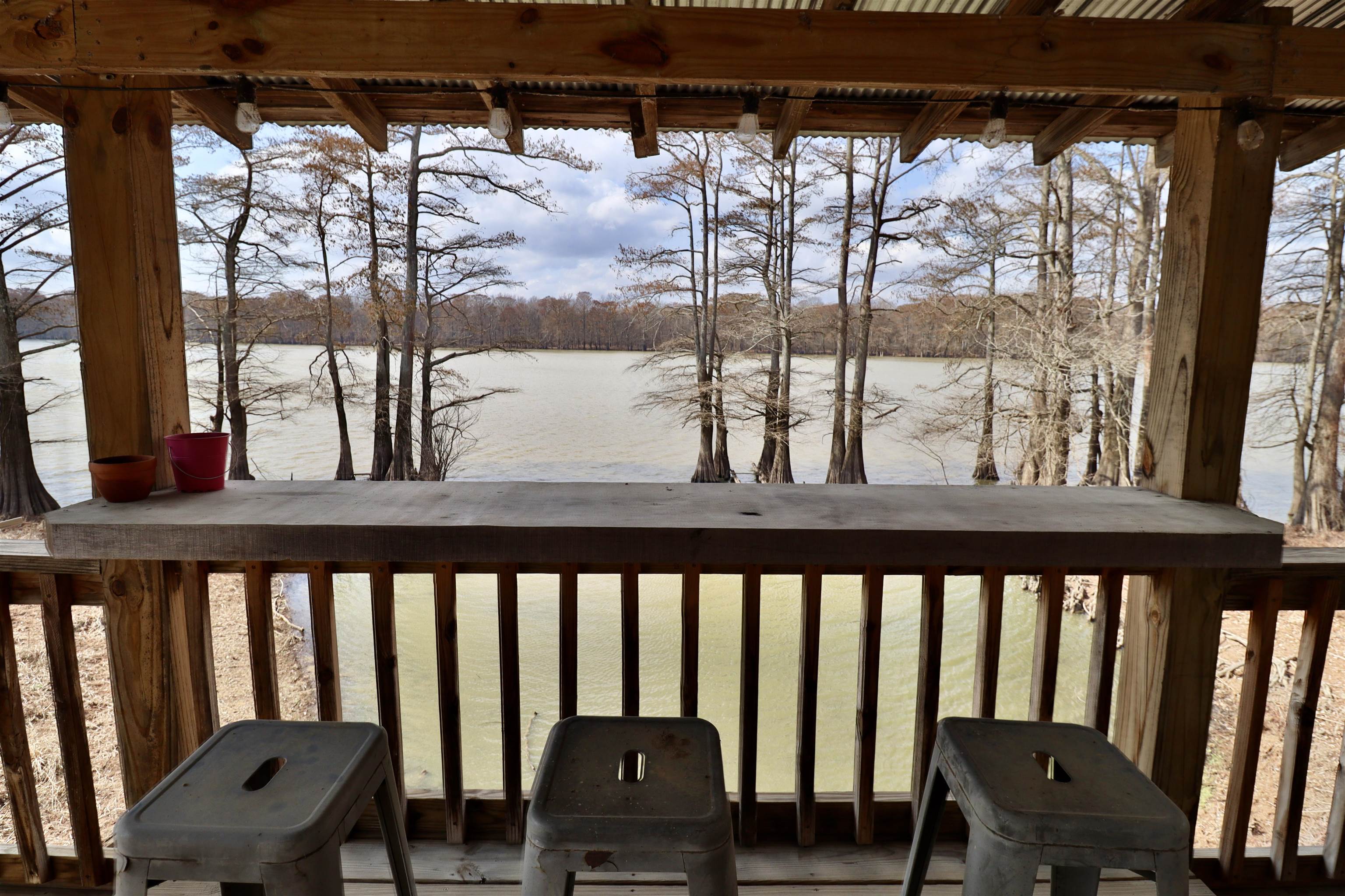 103 Chisholm Lake Road Ripley, TN 38063 - Photo 3 of 40