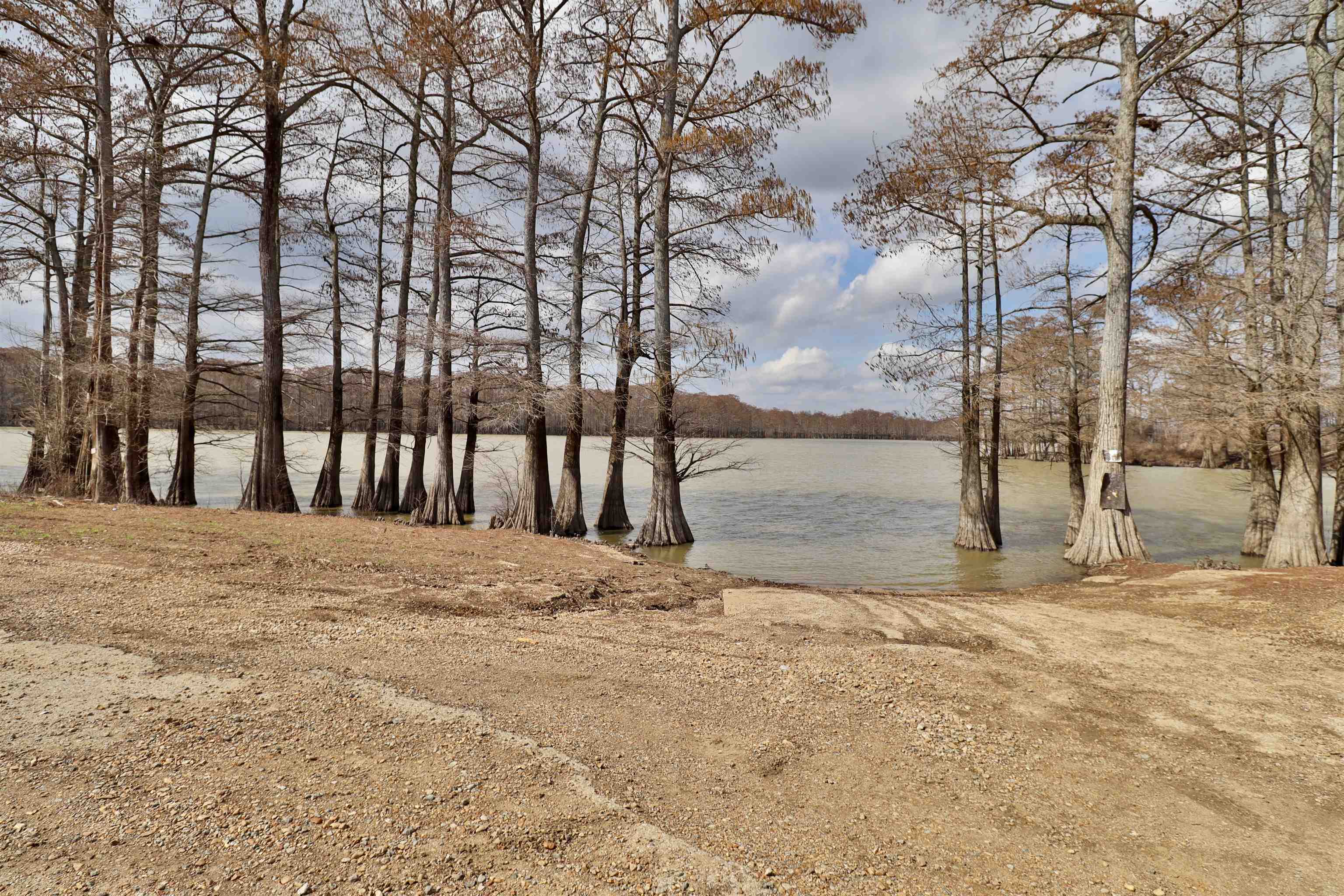 103 Chisholm Lake Road Ripley, TN 38063 - Photo 40 of 40