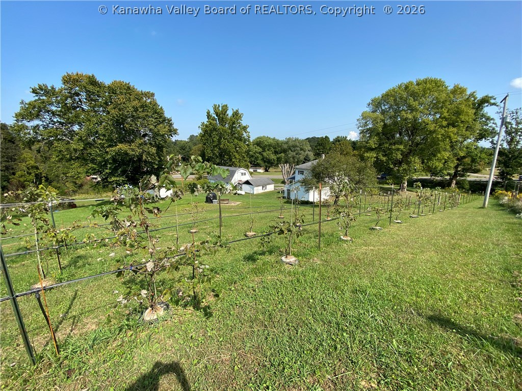 15418 Ripley Road Letart, WV 25253 - Photo 9 of 47 Gallery Image 9