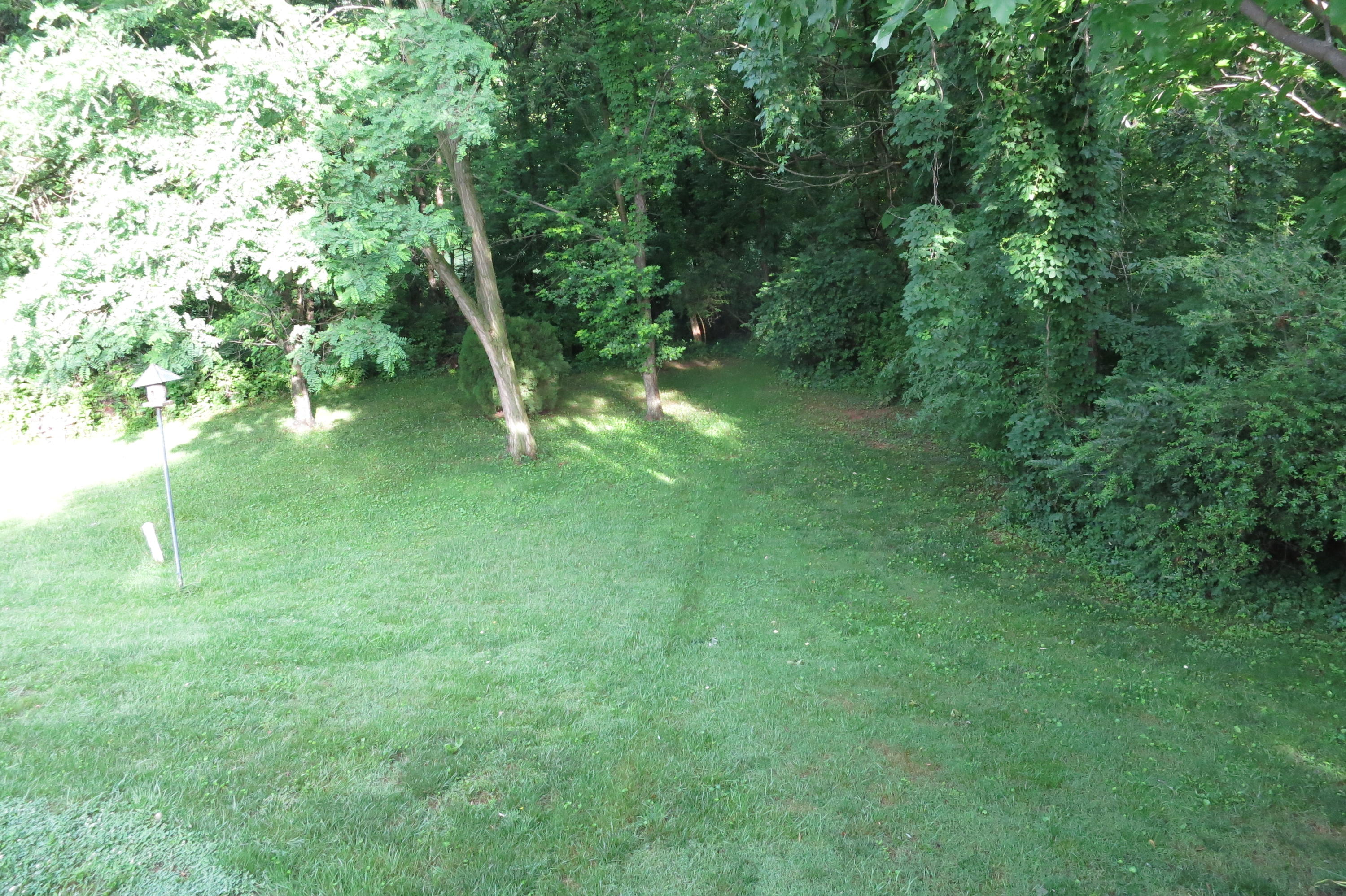 160 Stayman Road Roanoke, VA 24019 - Photo 33 of 35 Yard (3)