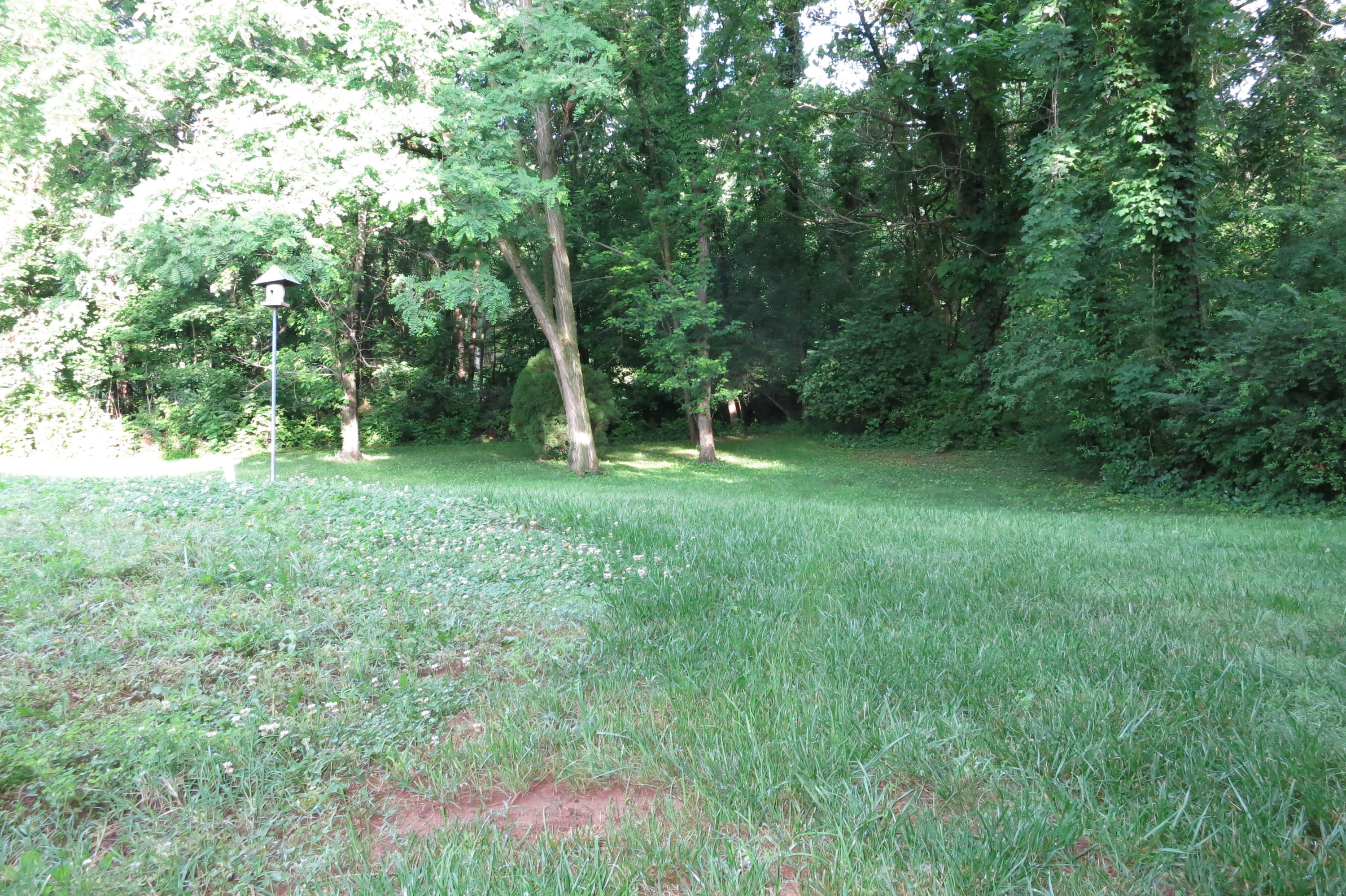 160 Stayman Road Roanoke, VA 24019 - Photo 8 of 35 Yard