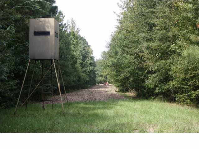 0 Sunset Road Wesson, MS 39191 - Photo 2 of 5 Deer Stand