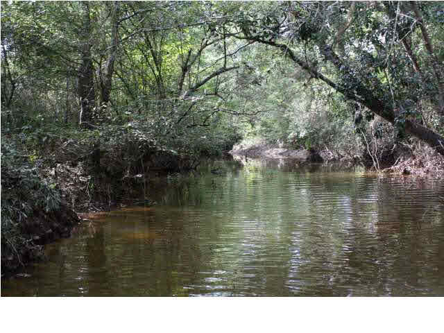 0 Sunset Road Wesson, MS 39191 - Photo 4 of 5 Fords Creek