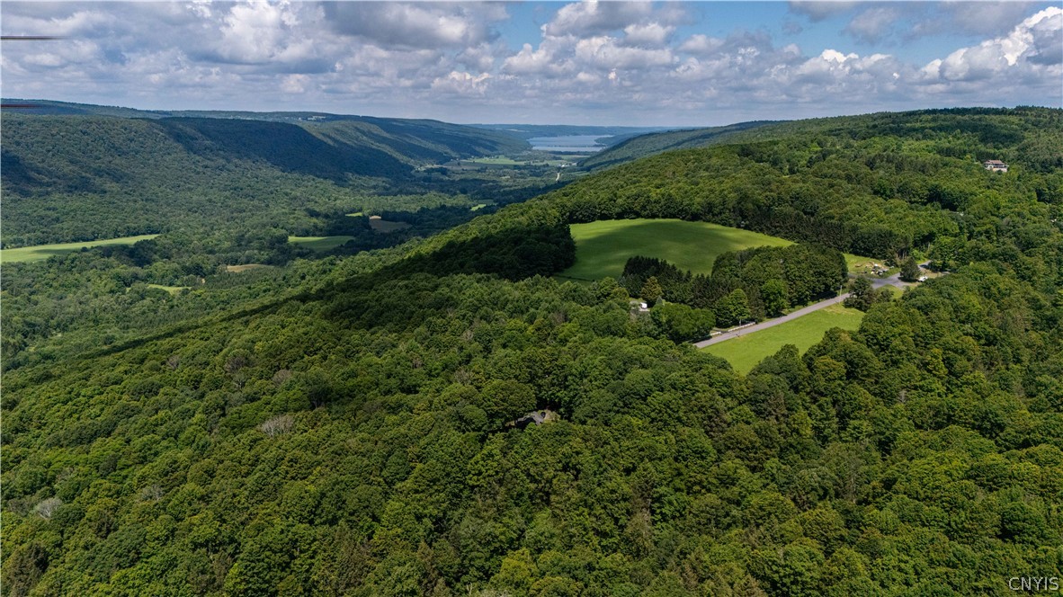 374 Strong Road Tully, NY 13159 - Photo 47 of 48