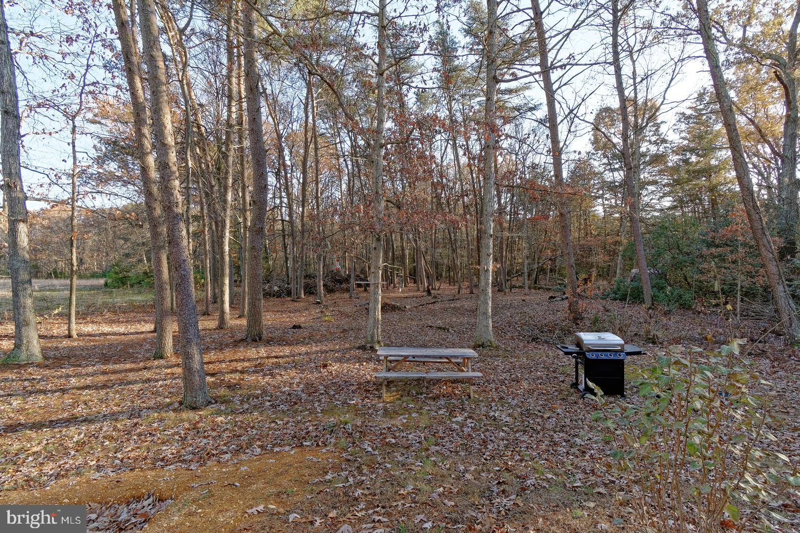 392 Ramah Road Bridgeton, NJ 08302 - Photo 22 of 25