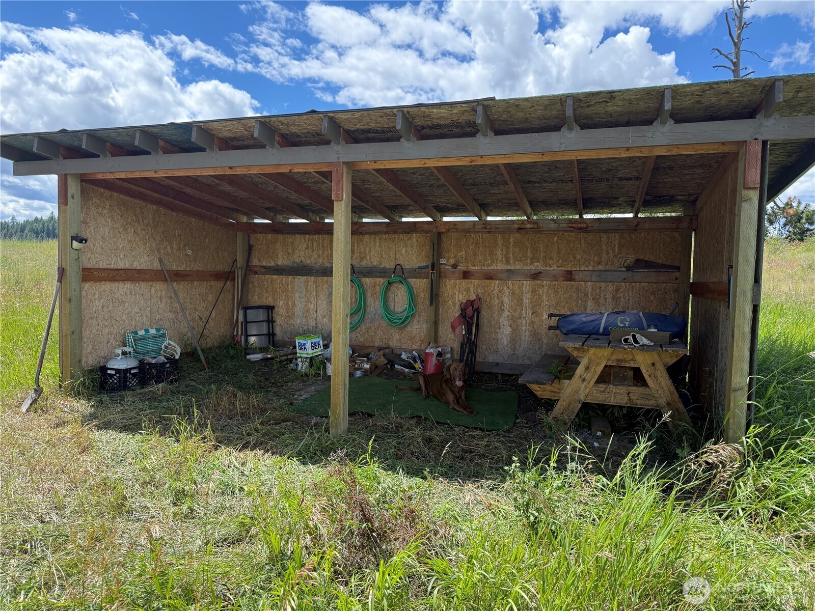 42 Tedesco Road Republic, WA 99166 - Photo 11 of 19 a room with lots of trees and flowers