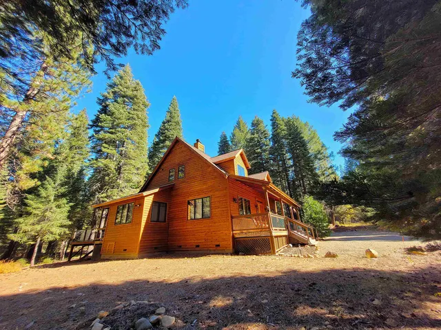 a view of a yard with a large tree