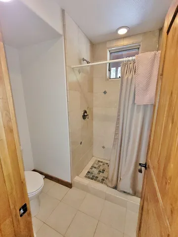 a bathroom with a shower and a toilet