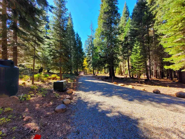 a view of yard with tree s
