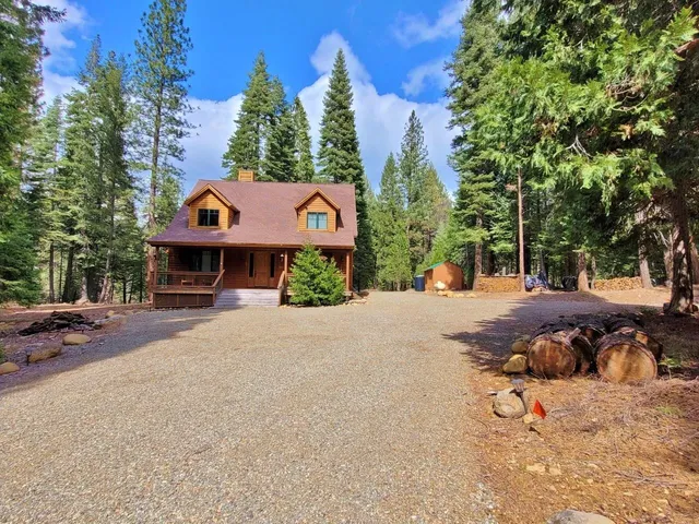 a street view with a building and trees in the background