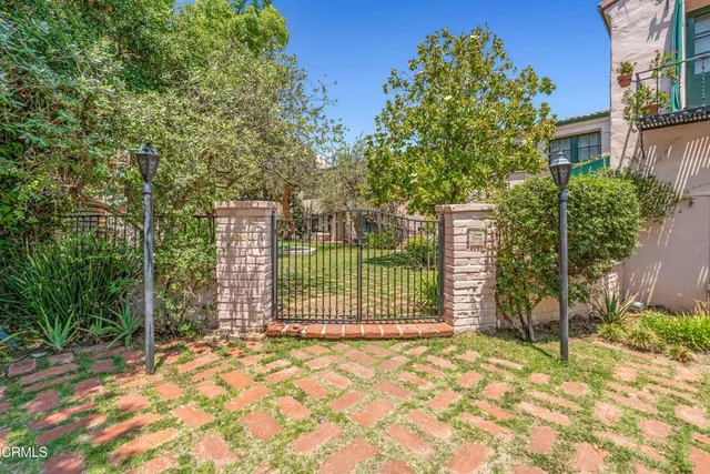 a view of a backyard with plants and large trees