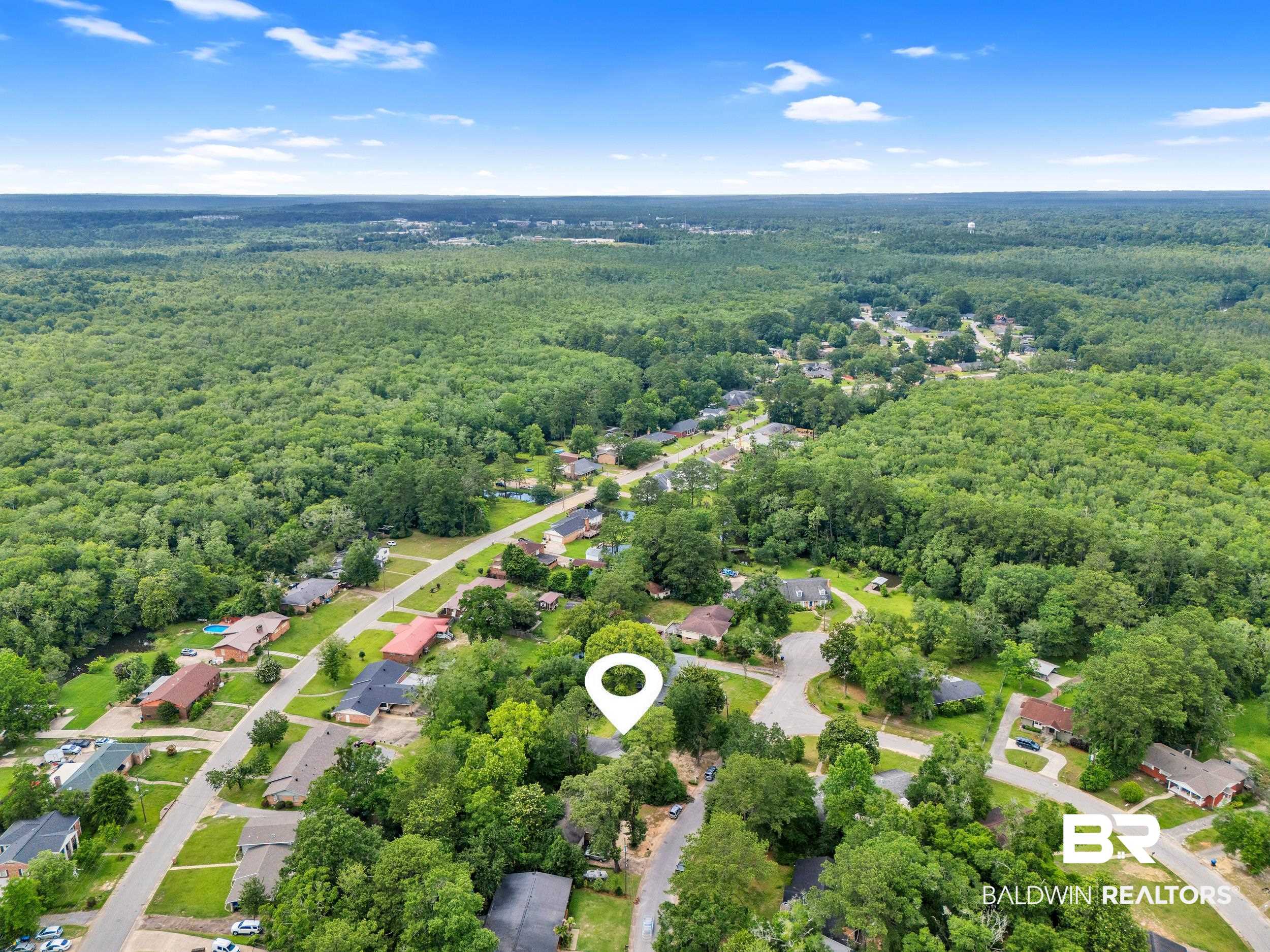 224 Cache Circle Mobile, AL 36611 - Photo 35 of 42 Drone / aerial view of a forest