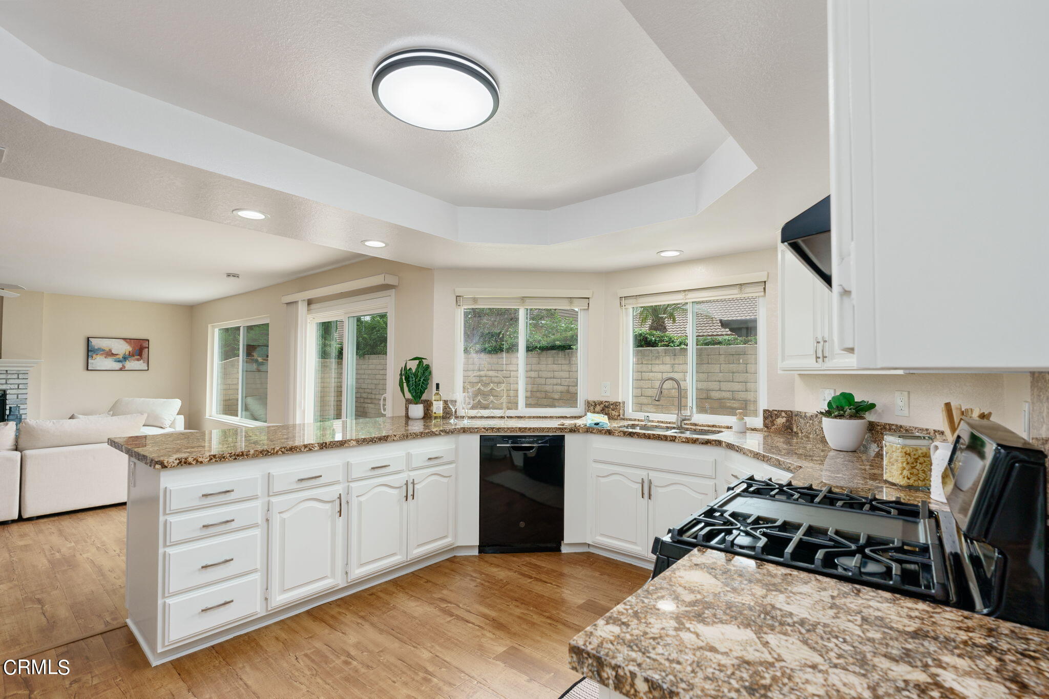 2281 Southern Hill Drive Oxnard, CA 93036 - Photo 9 of 29 a kitchen with a stove a sink and a refrigerator