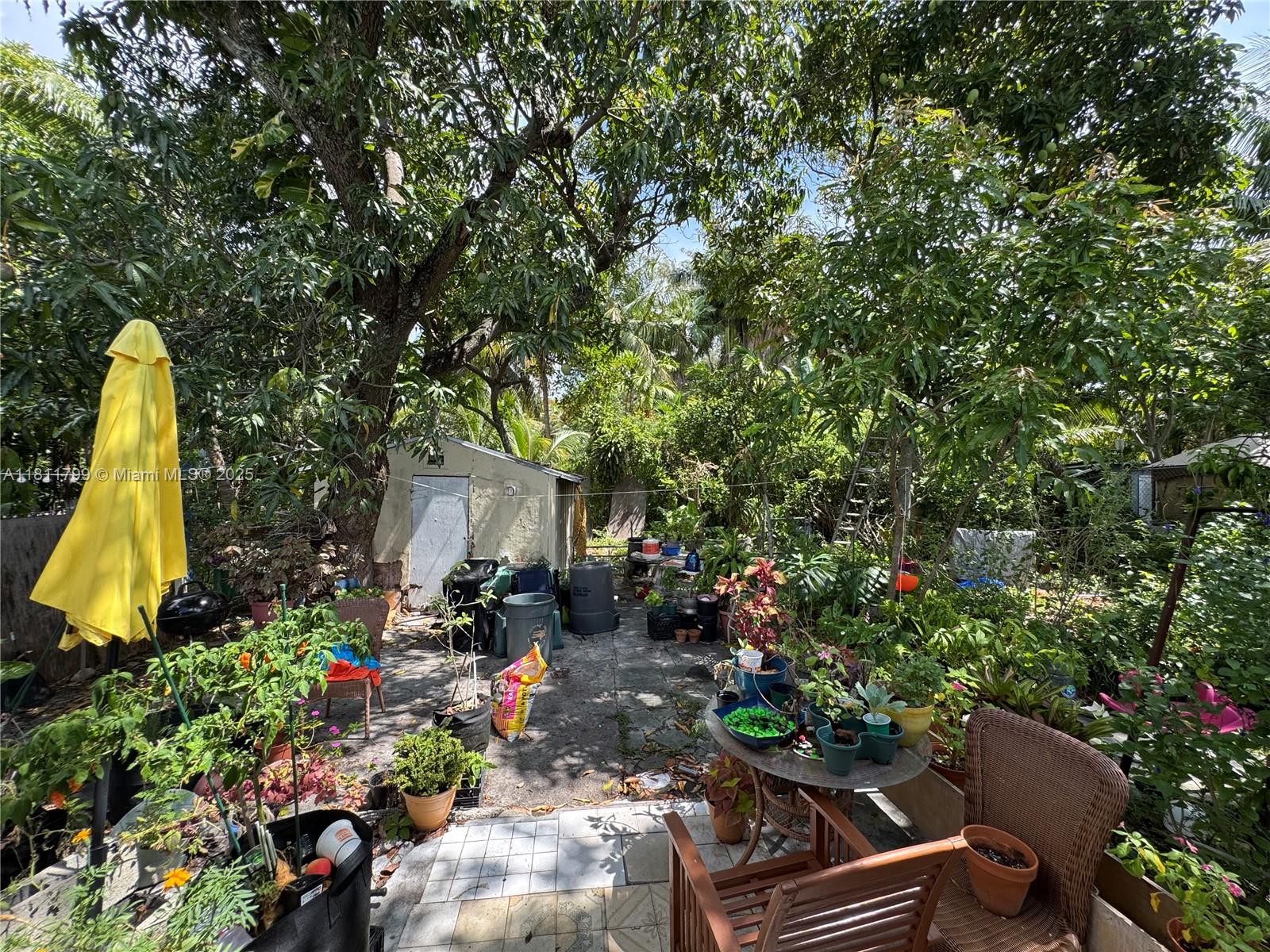 151 Northwest 64th Street Miami, FL 33150 - Photo 5 of 13 a view of a backyard with sitting area and garden