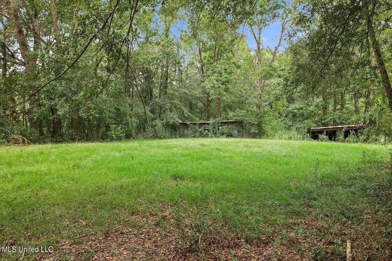 156 Sprayberry Road Morton, MS 39117 - Photo 33 of 67 32-156 Sprayberry Rd