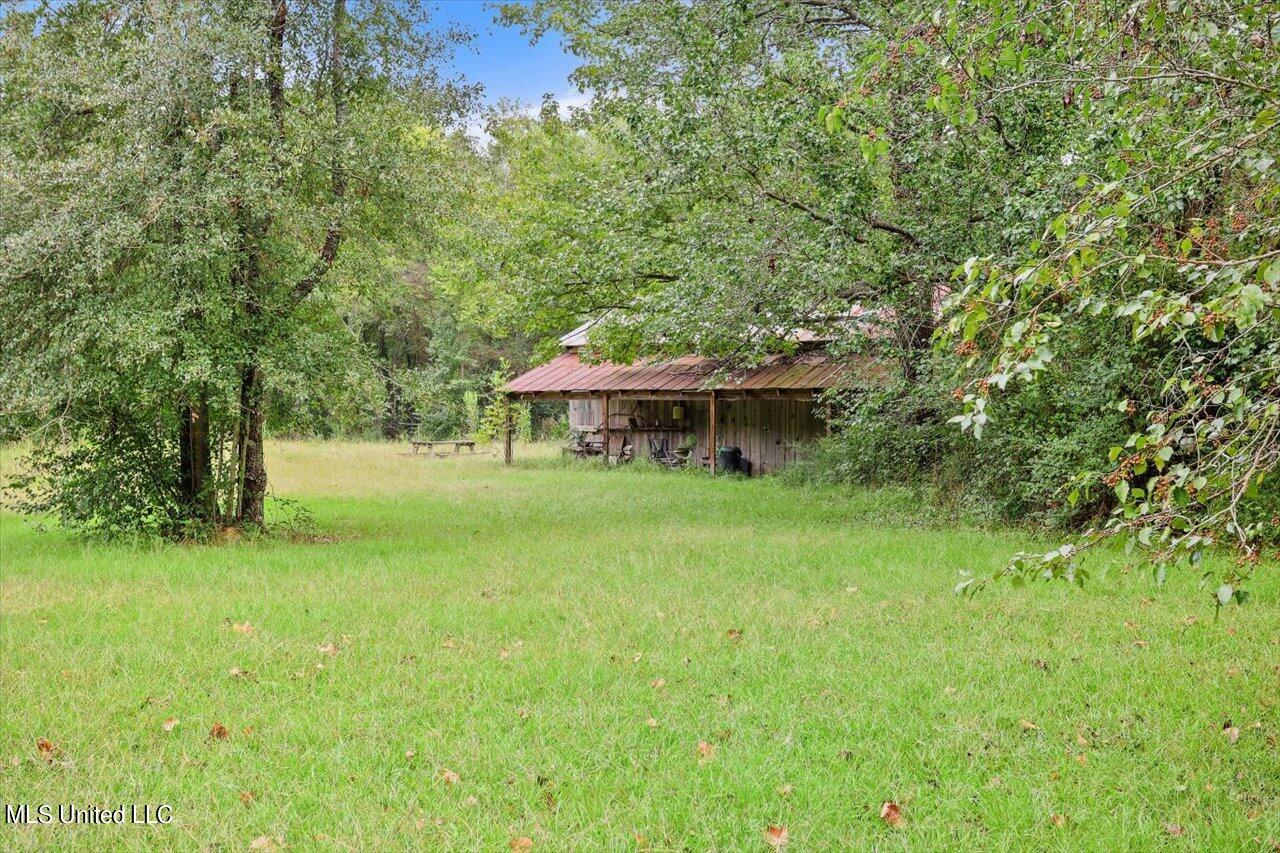 156 Sprayberry Road Morton, MS 39117 - Photo 36 of 67 35-156 Sprayberry Rd