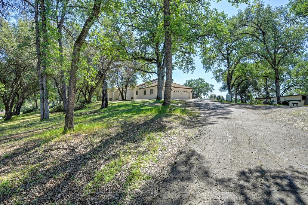 3716 Murphy Ranch Road Placerville, CA 95667 - Photo 15 of 83