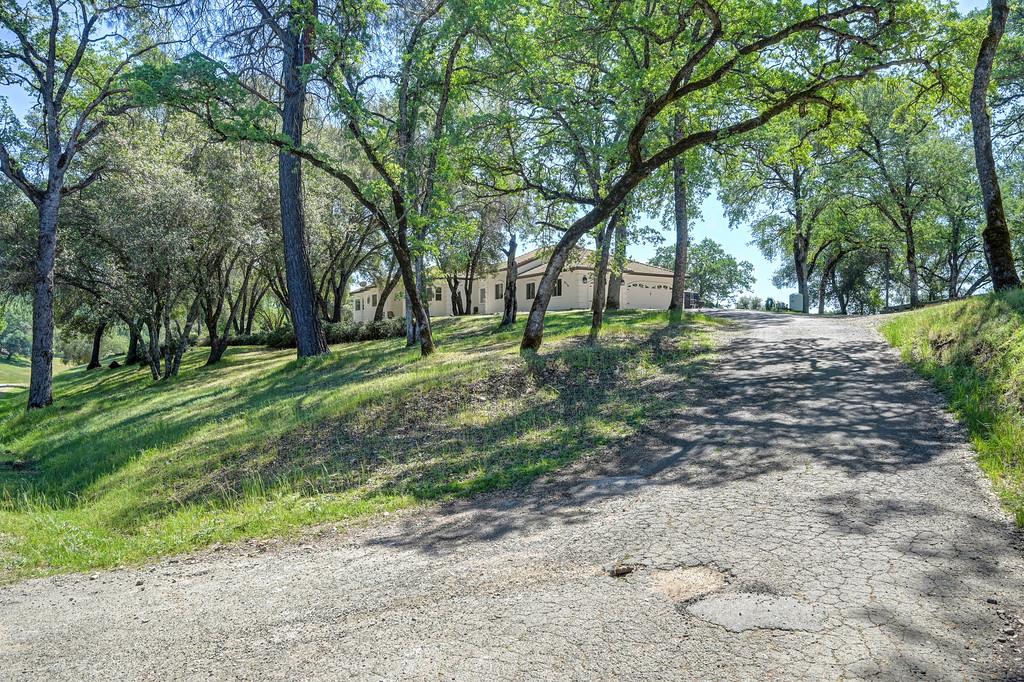 3716 Murphy Ranch Road Placerville, CA 95667 - Photo 16 of 83