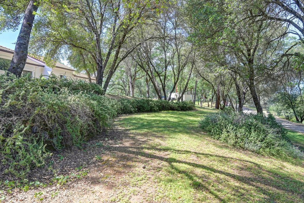 3716 Murphy Ranch Road Placerville, CA 95667 - Photo 27 of 83