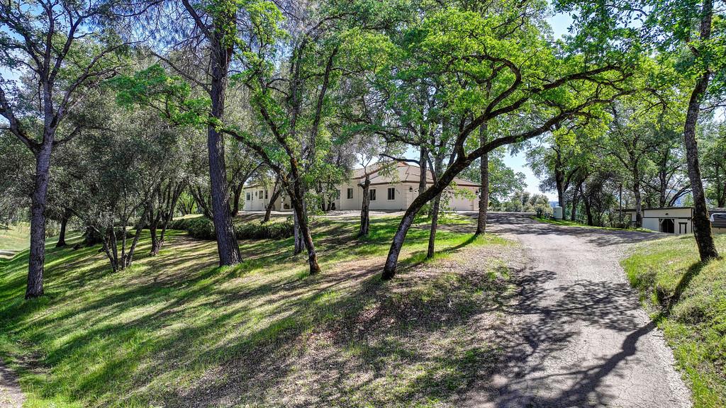 3716 Murphy Ranch Road Placerville, CA 95667 - Photo 6 of 83