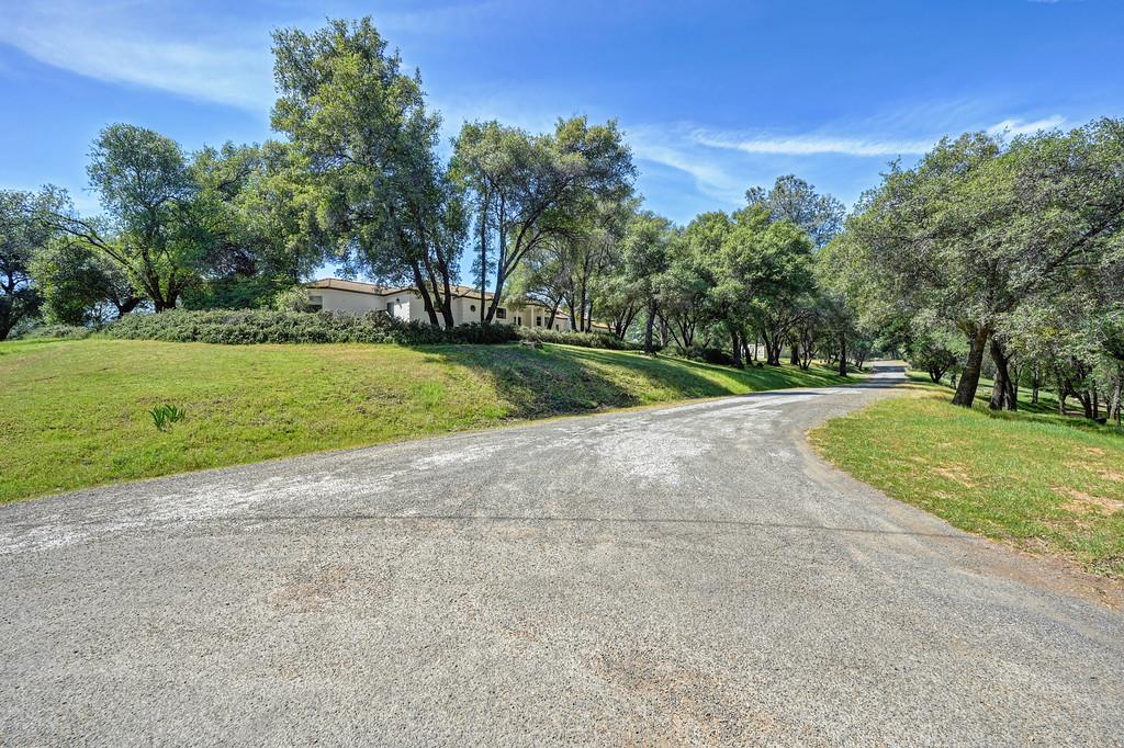 3716 Murphy Ranch Road Placerville, CA 95667 - Photo 10 of 83