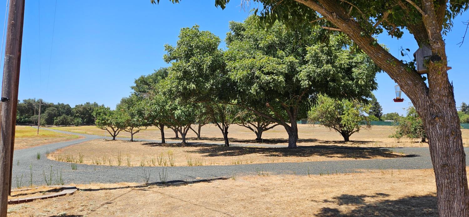 20822 Disch Road Lockeford, CA 95237 - Photo 26 of 30 a view of ocean view
