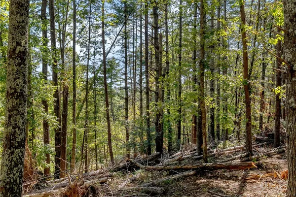 $100,000 | 106 Sweetshrub Court, Sunset, SC 29685