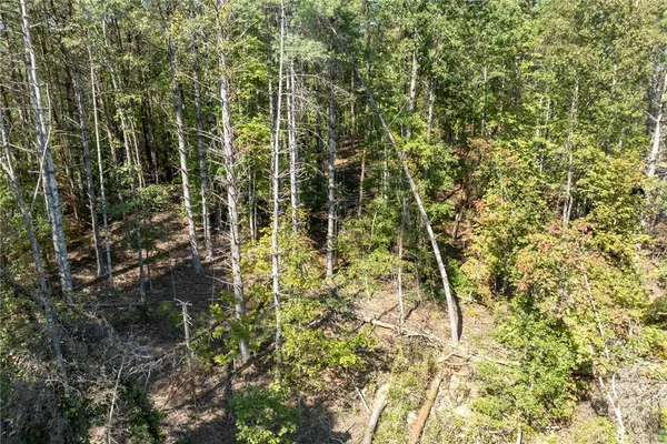 $100,000 | 106 Sweetshrub Court, Sunset, SC 29685