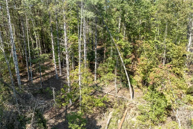 $100,000 | 106 Sweetshrub Court, Sunset, SC 29685