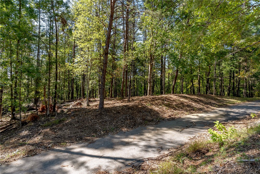 106 Sweetshrub Court Sunset, SC 29685 - Photo 13 of 20