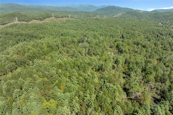 $100,000 | 106 Sweetshrub Court, Sunset, SC 29685