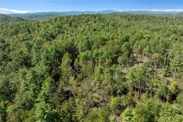 $100,000 | 106 Sweetshrub Court, Sunset, SC 29685