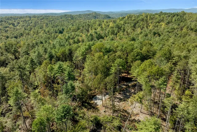 $100,000 | 106 Sweetshrub Court, Sunset, SC 29685